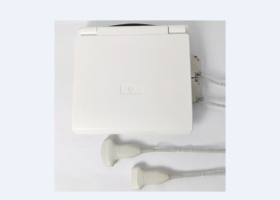 Tipos portátiles de la vejiga 5 del PDA del escáner del ultrasonido del PDA de puntas de prueba disponibles