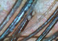 Otoscopio video de Digitaces del alcance del examen de la piel/del pelo con la ampliación de 200 veces