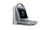 Escáner portátil del ultrasonido de la máquina de Doppler del color de 10,4 pulgadas con la alta resolución