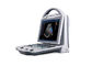 Escáner lleno del ultrasonido de la máquina de Doppler del color de Digitaces con el monitor ajustable del ángulo de 10,4 pulgadas