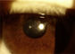 Cámara portátil del oftalmoscopio de la lámpara de la raja del PDA con la pantalla a color del tacto de 3,97 pulgadas