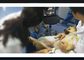 Uso inalámbrico del ser humano o del veterinario de la punta de prueba del ultrasonido del PDA de la máquina cardiaca del ultrasonido disponible