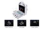 Máquina portátil del ultrasonido de Doppler del escáner del ultrasonido de B con solamente el peso 4.5Kgs