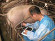 5,7&quot; dispositivo veterinario del escáner del ultrasonido del PDA con el batería li-ion para el animal