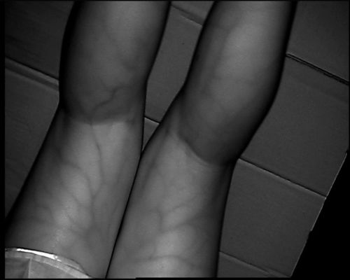 Tipo de alta resolución dispositivo de la tabla 800X480 del localizador de la vena con la pantalla 3.5Inch para la pierna del brazo de mano