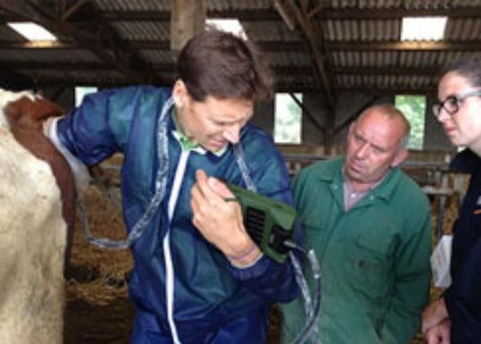 Escáner de ultrasonido veterinario mini